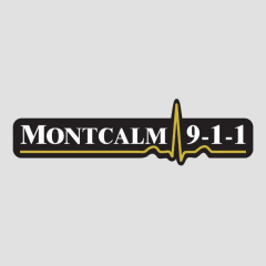 Village of Lakeview, Township Information, Montcalm Public Alerts